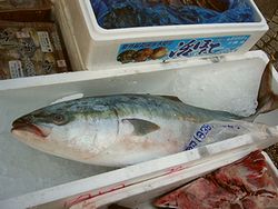 Tsukiji05.jpg