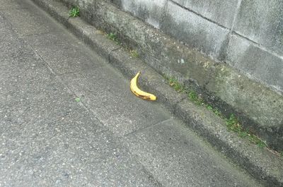 banana.jpg