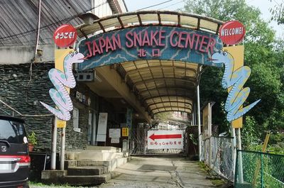 snakecenter01.jpg