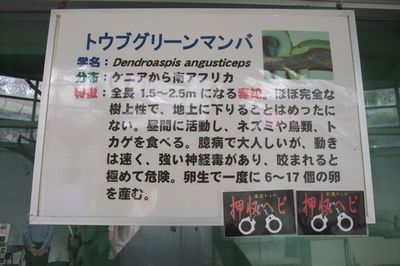 snakecenter05.jpg