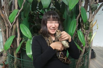 snakecenter09.jpg